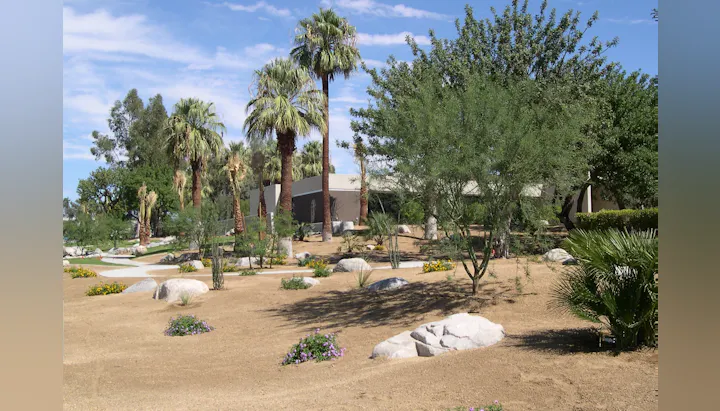 The image features a desert landscape with palm trees, shrubs, rocks, and a well-maintained area under a blue sky.