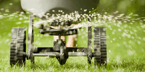 A person is using a spreader to distribute seeds or fertilizer on a lush green lawn, with particles flying out behind it.