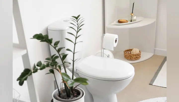 The image shows a modern bathroom with a white toilet, a roll of toilet paper, a plant, and decorative items on a shelf.