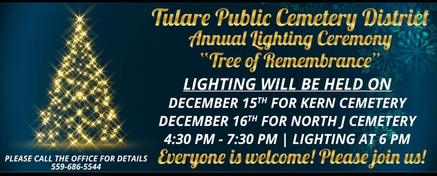 May contain: christmas, christmas decorations, festival, and christmas tree