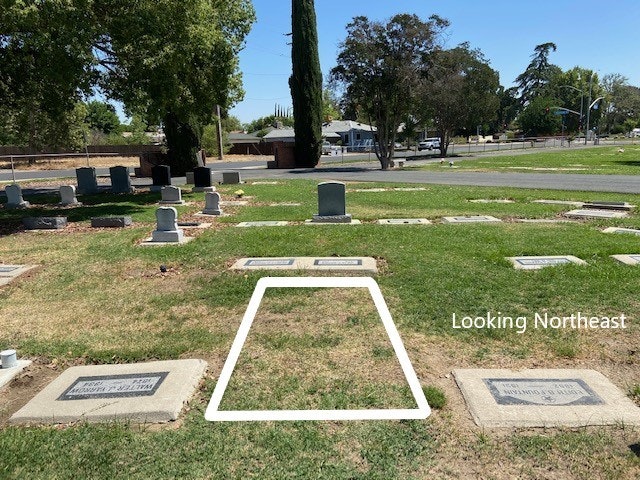 May contain: grass, plant, and tomb