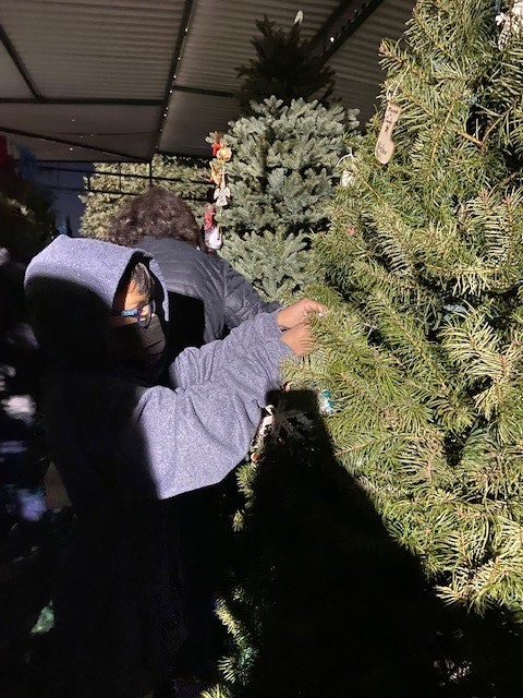 May contain: tree, plant, and vegetation