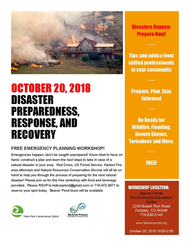 May contain: poster and advertisement
