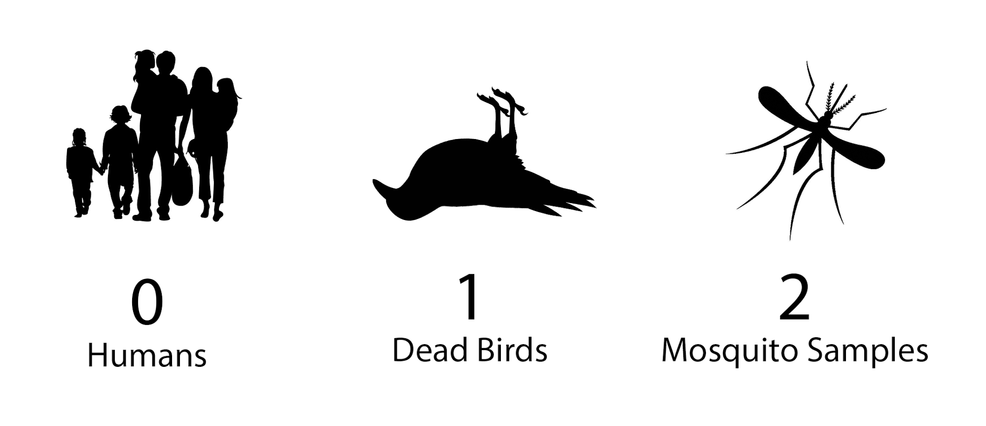 May contain: person, human, and silhouette