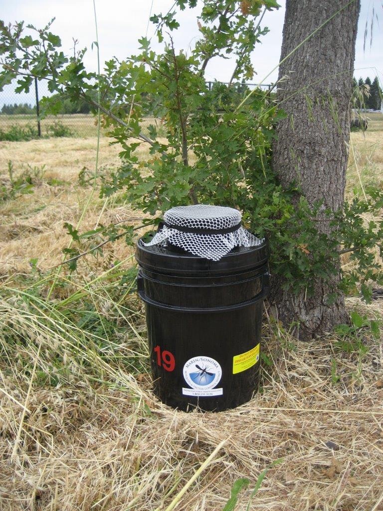 A black container with a net on top, placed near a tree in a field with dry grass.