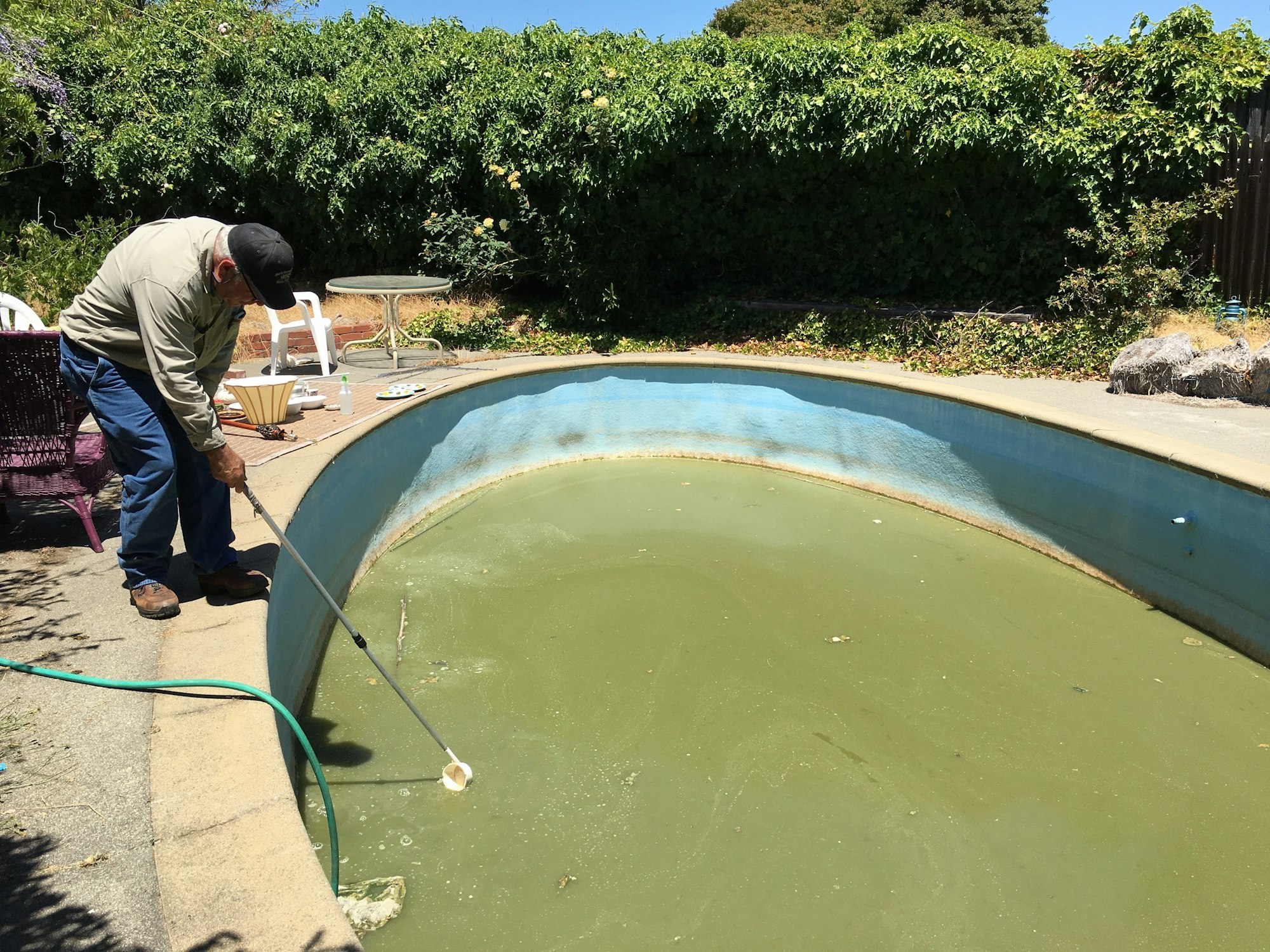 Neglected swimming pool inspection