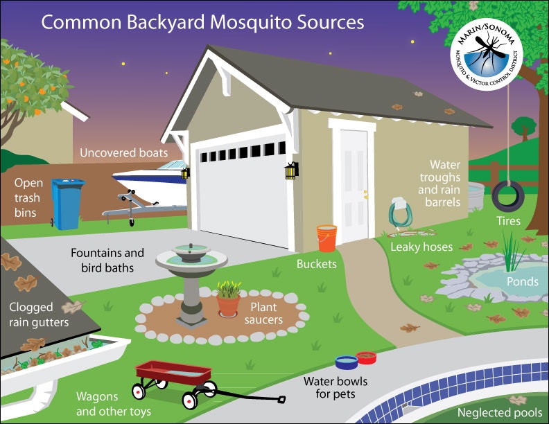 Common backyard sources graphic