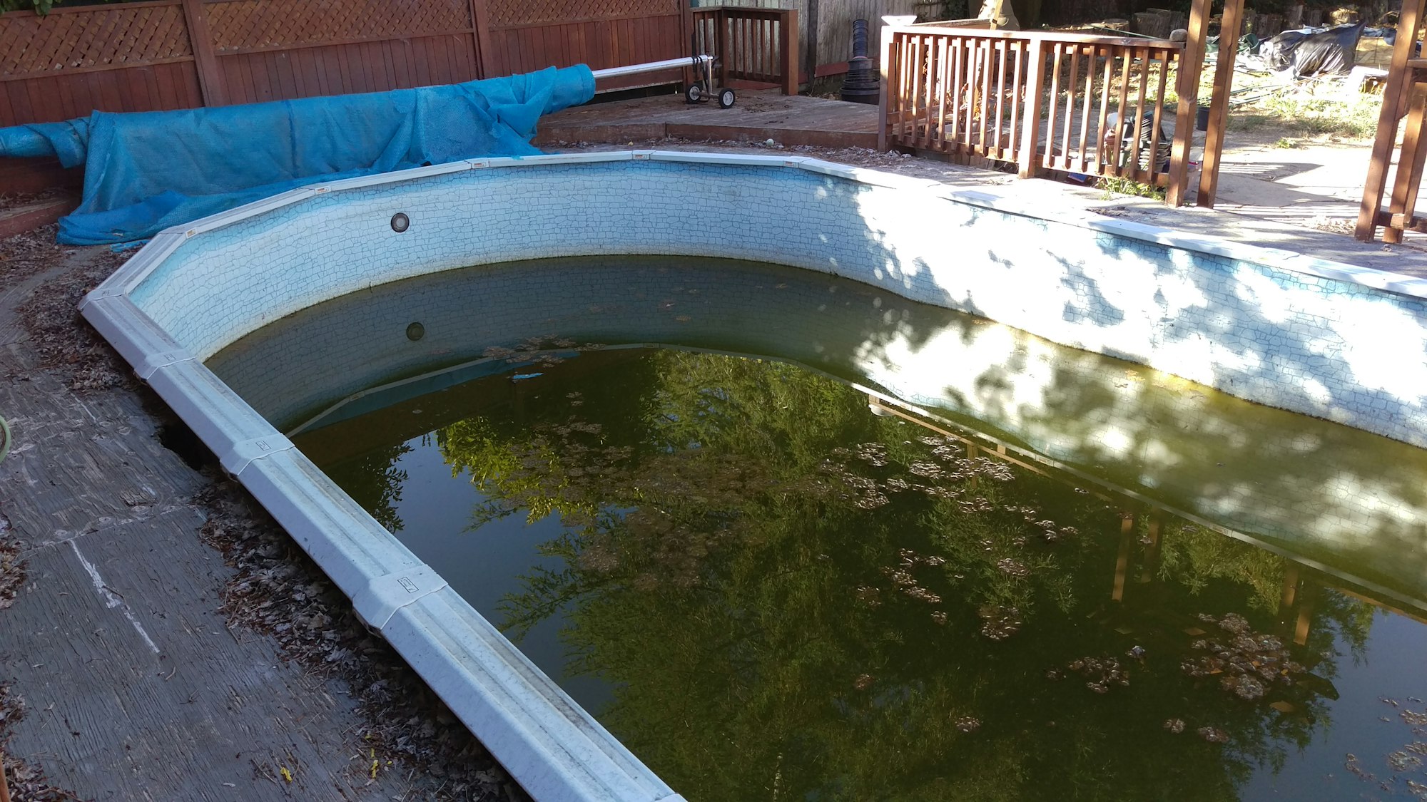 Neglected swimming pool