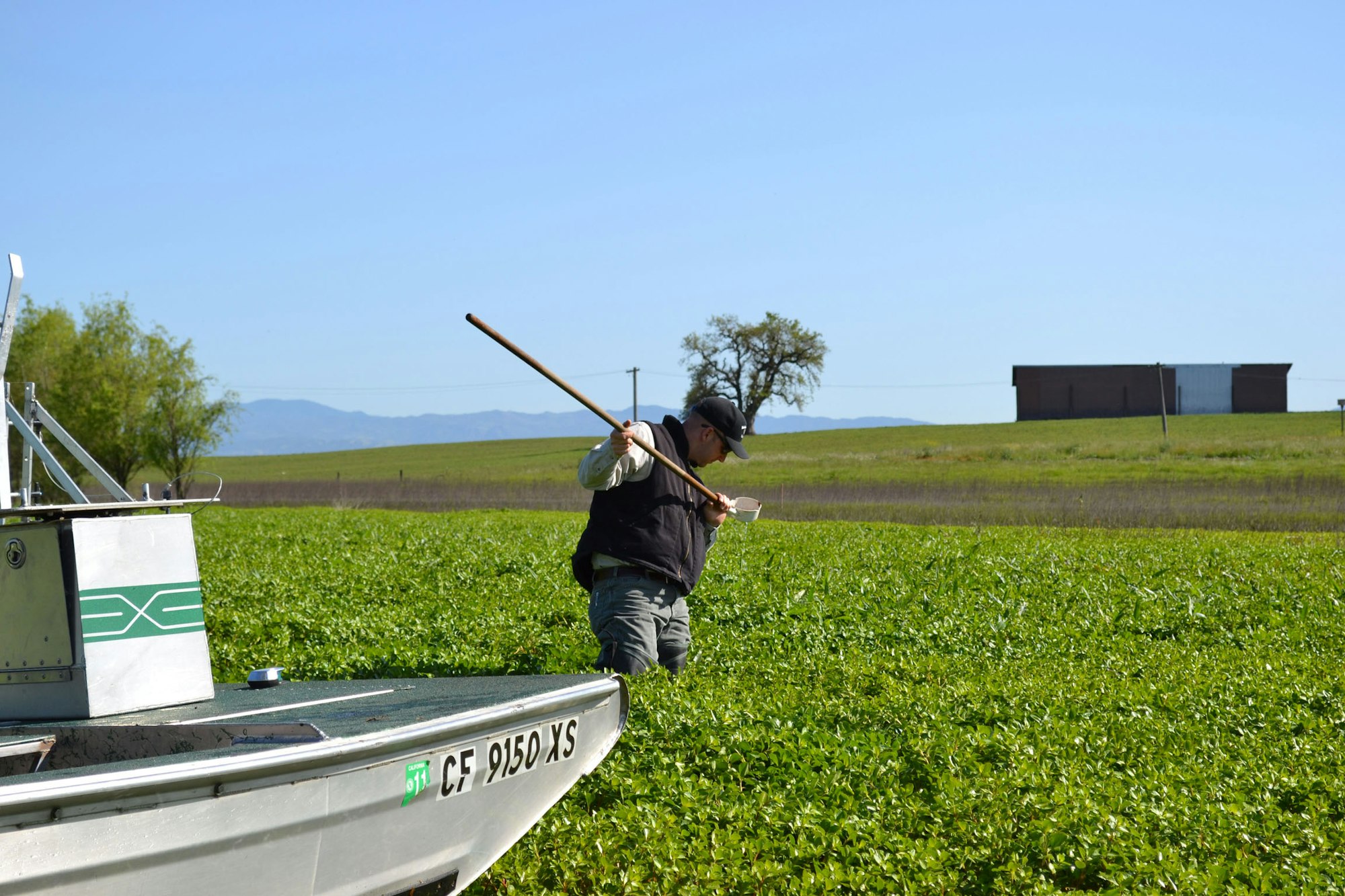 District staff checking for mosquito larvae