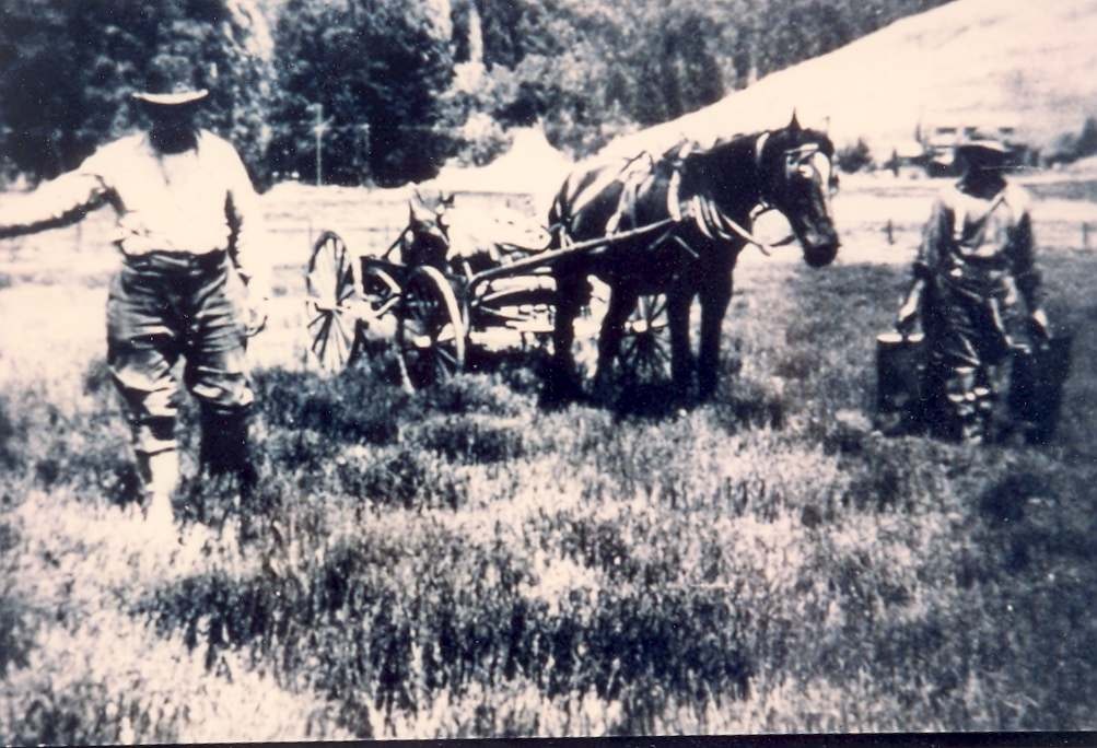 May contain: nature, outdoors, farm, countryside, rural, human, person, mammal, horse, animal, farm plow, vehicle, transportation, bike, and bicycle