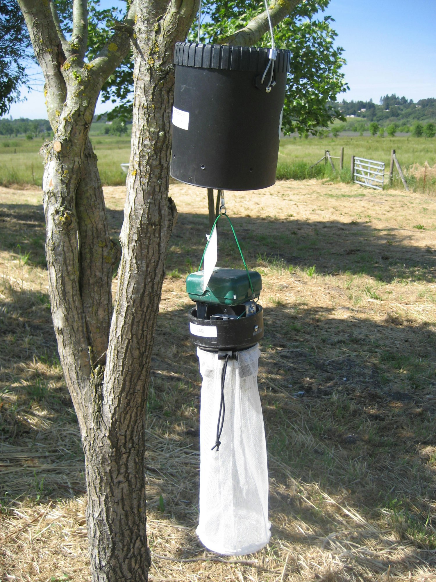 Adult mosquito surveillance trap