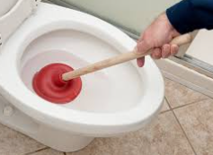 Not to Flush, image of a toilet with a plunger in it