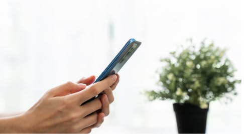 Hands holding a smartphone near a small potted plant.