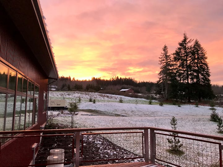 May contain: handrail, banister, railing, tree, plant, fir, and abies