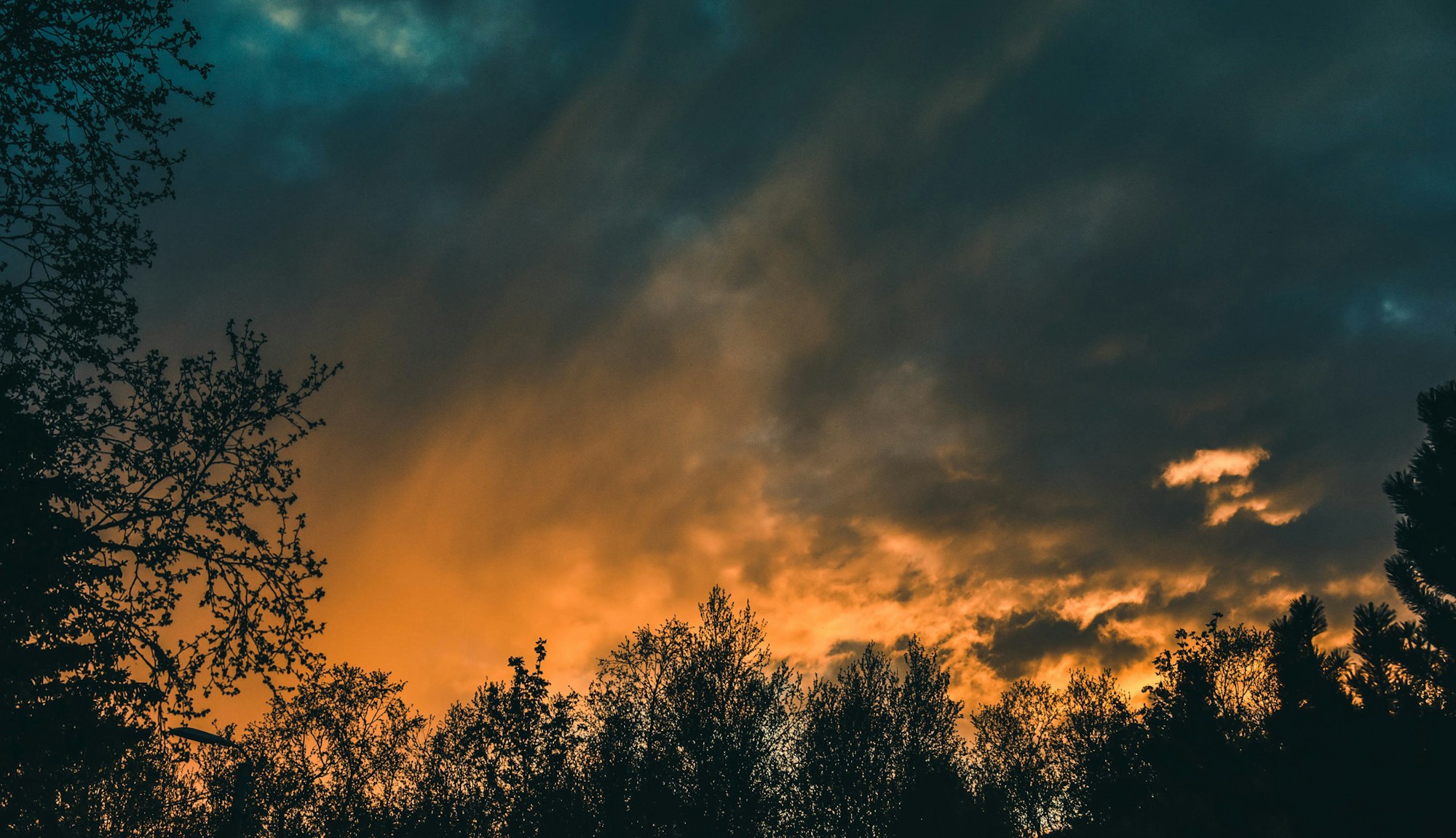 Dramatic sky with sunrays piercing through clouds above silhouetted trees.