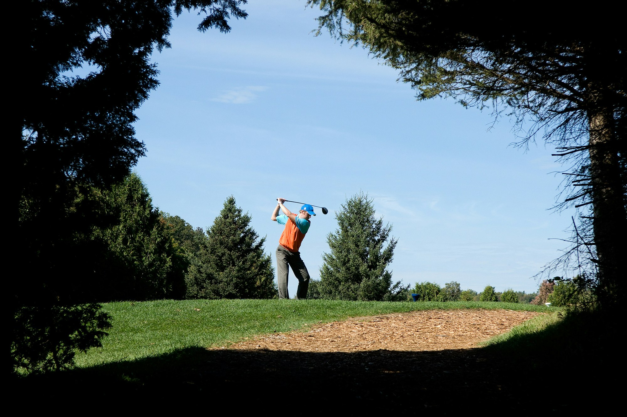 A golfer mid-swing on a bright, sunny day, framed by trees.