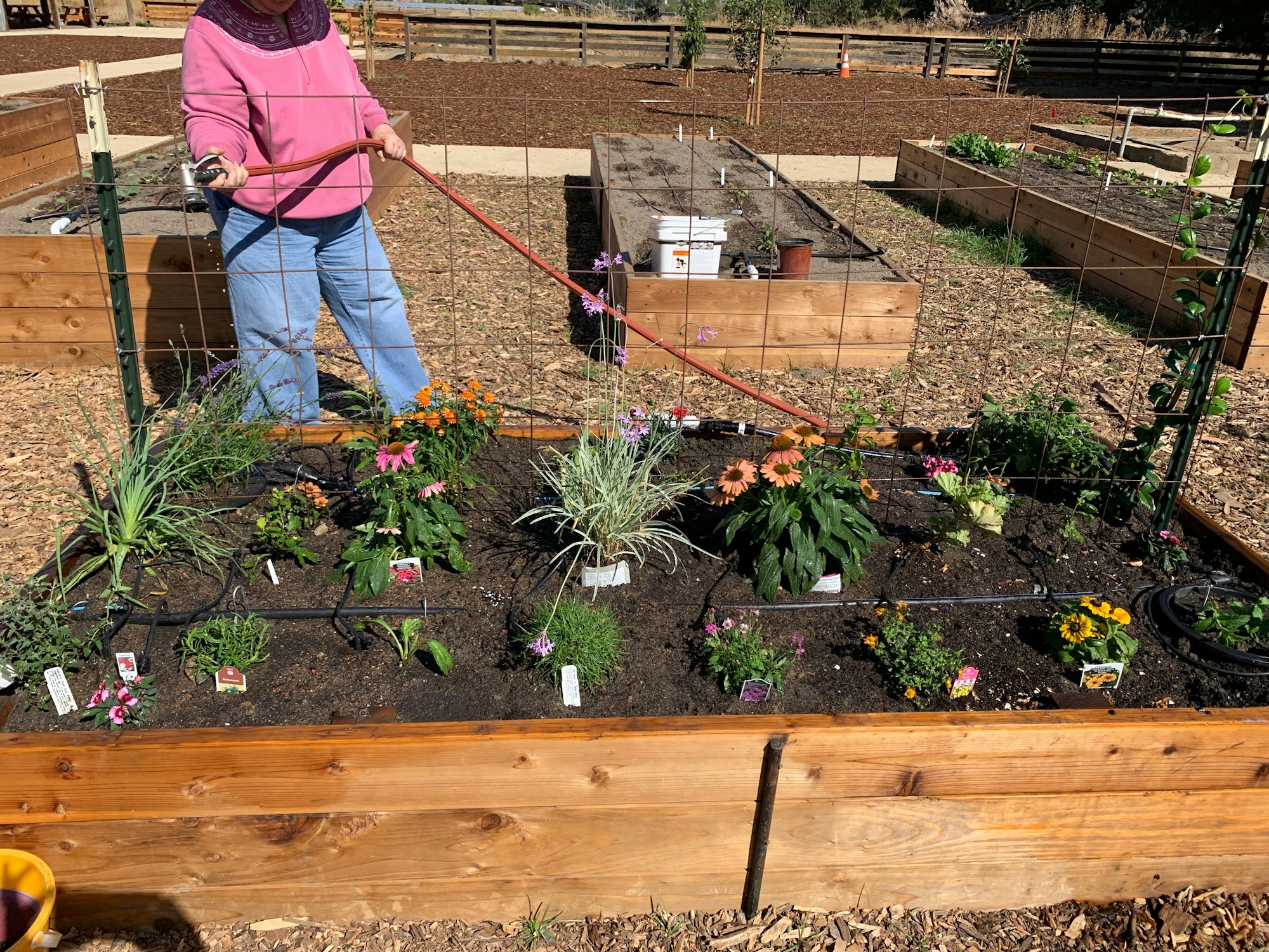 May contain: outdoors, person, human, garden, gardener, gardening, worker, potted plant, jar, plant, vase, and pottery