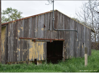 May contain: nature, outdoors, building, barn, countryside, rural, and farm