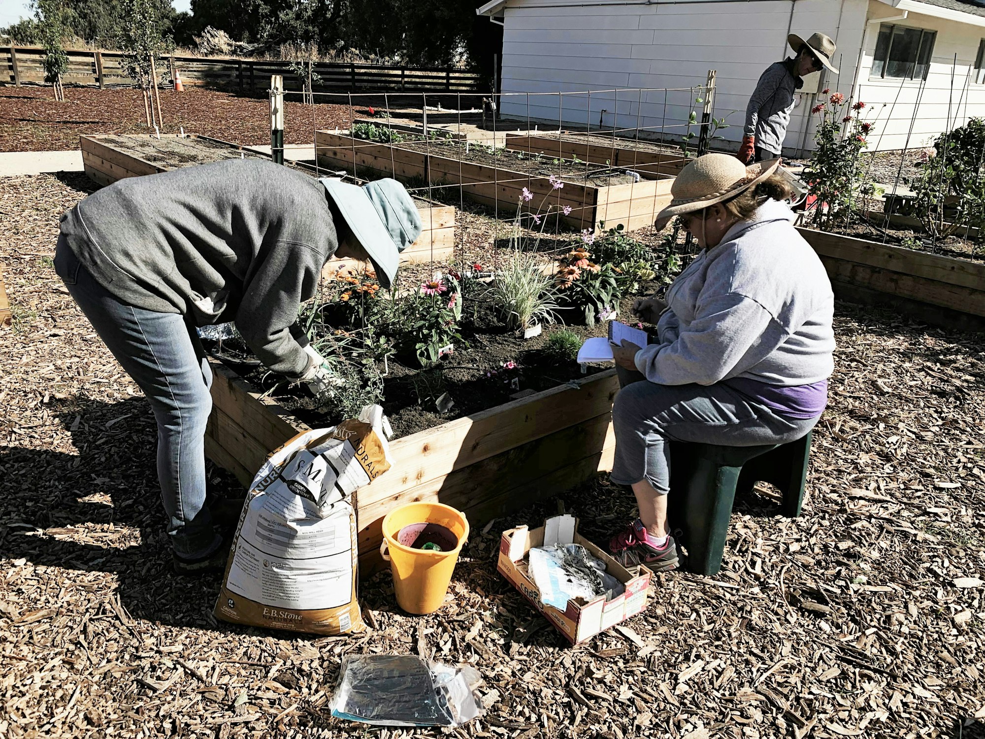 May contain: outdoors, garden, human, person, worker, gardener, and gardening