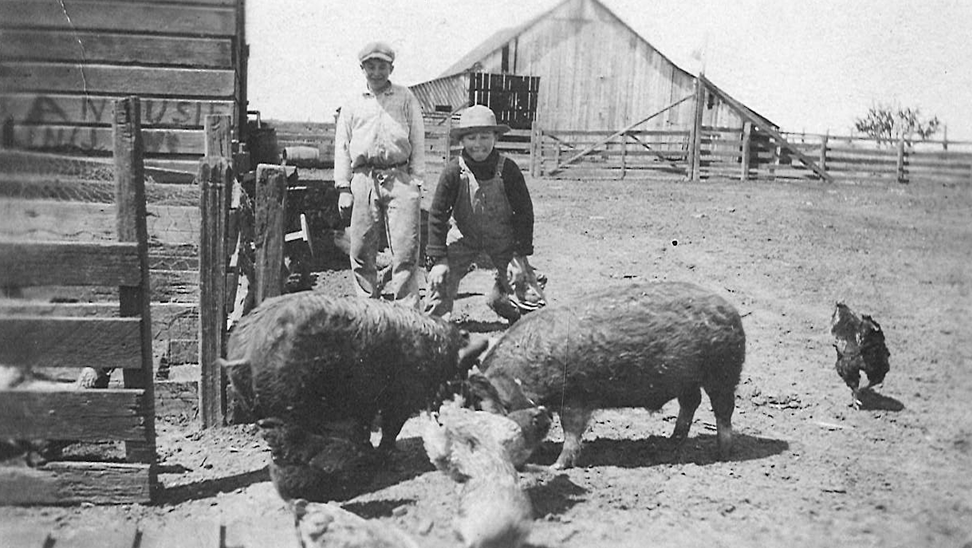 May contain: person, human, mammal, pig, hog, animal, and boar