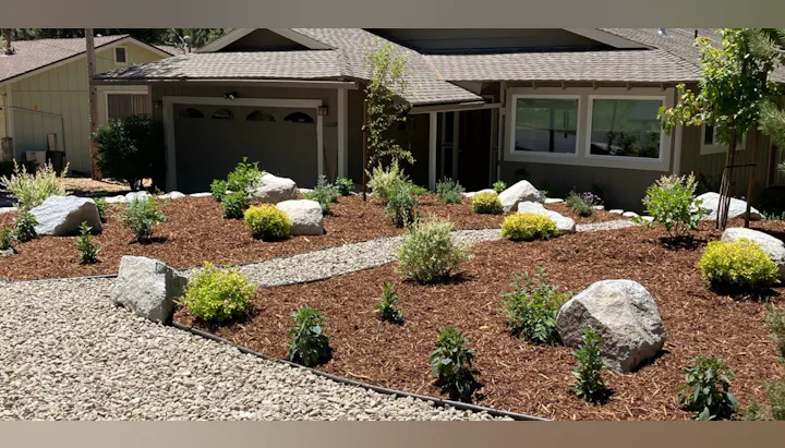 Turf Buy Back of front yard conversion with plants, mulch and house in background.