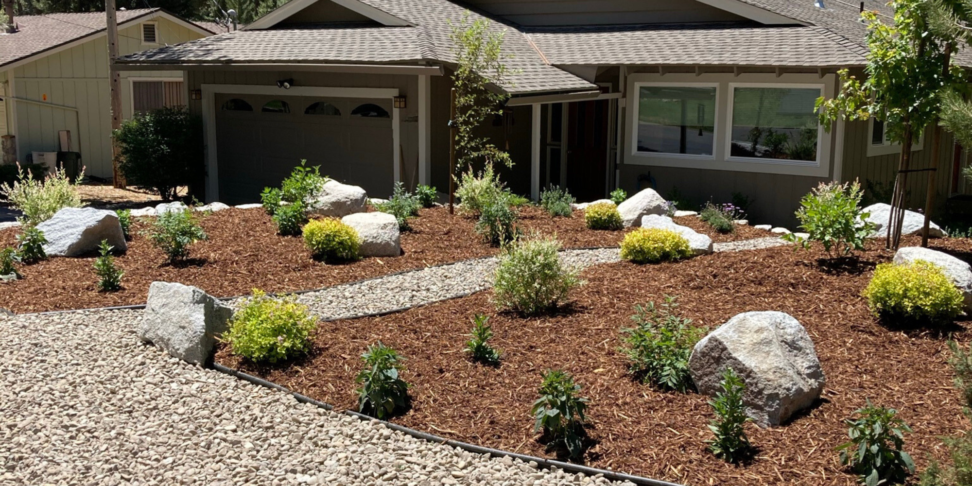 Turf Buy Back of front yard conversion with plants, mulch and house in background.