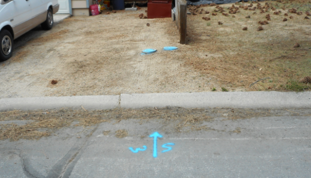 A driveway with a car, pinecones, two blue objects, and markings on the curb.
