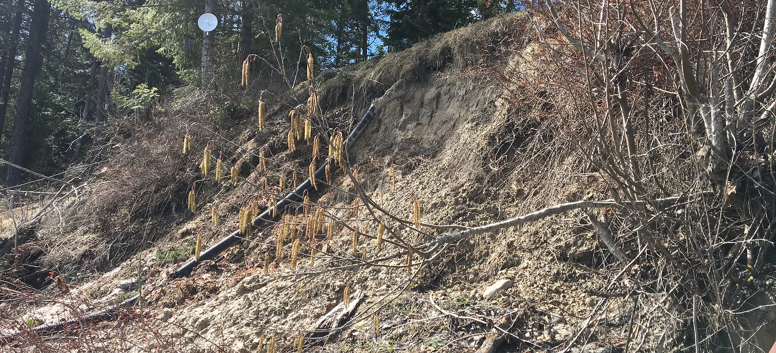 Eroded hillside with bare trees and shrubs under a clear sky. There's a satellite dish to the left.