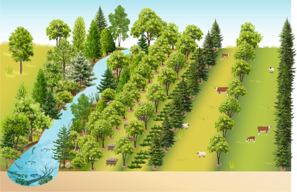 The image depicts a landscape with a river, lush trees, and grazing cows, illustrating a harmonious natural scene.