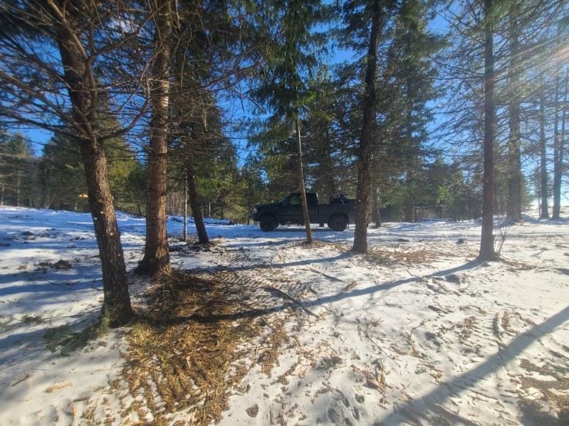 A black truck parked in a snowy forest with trees and blue sky.