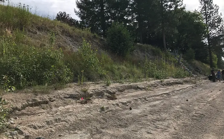 A sandy slope with vegetation and two people sitting in the distance.