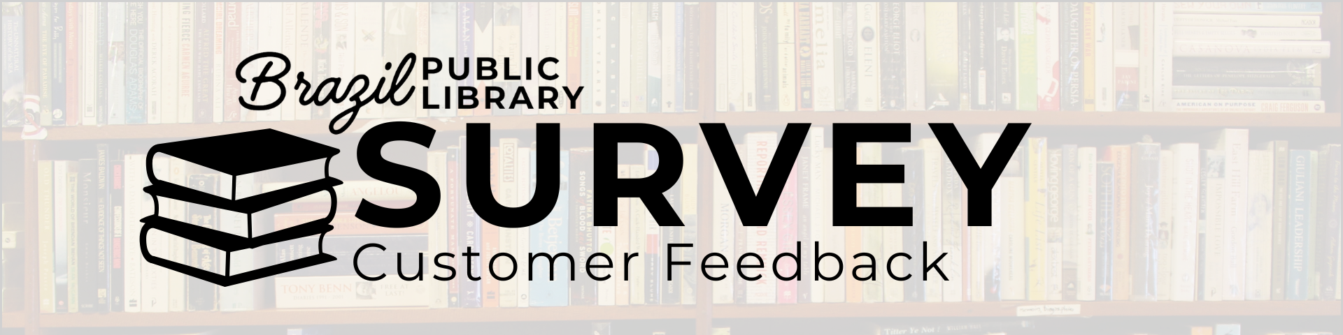Brazil Public Library Survey: Customer Feedback.