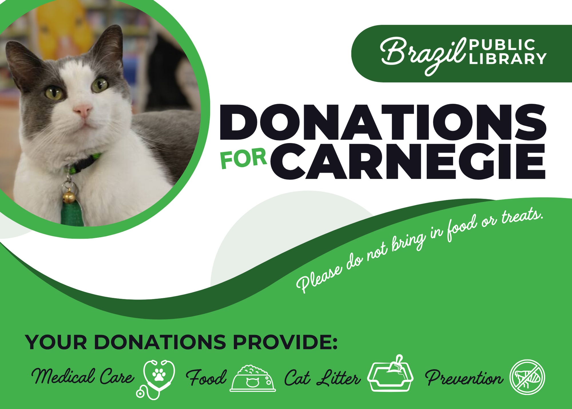 Cat with appeal for donations at Brazil Public Library for medical care, food, litter, and prevention. Please don't bring food/treats.