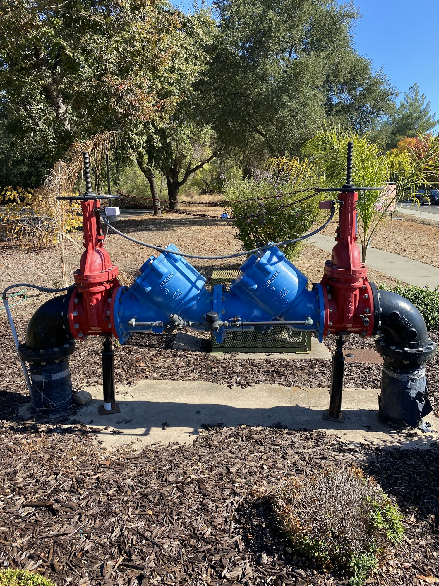 Double Check Detector Assembly Backflow Device on a standby fire line