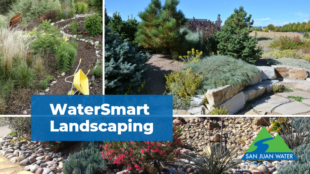 Water Smart graphic