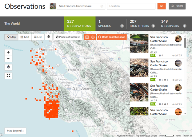 Map showing 327 observations of the San Francisco Garter Snake near San Francisco, with a sidebar listing recent sightings.