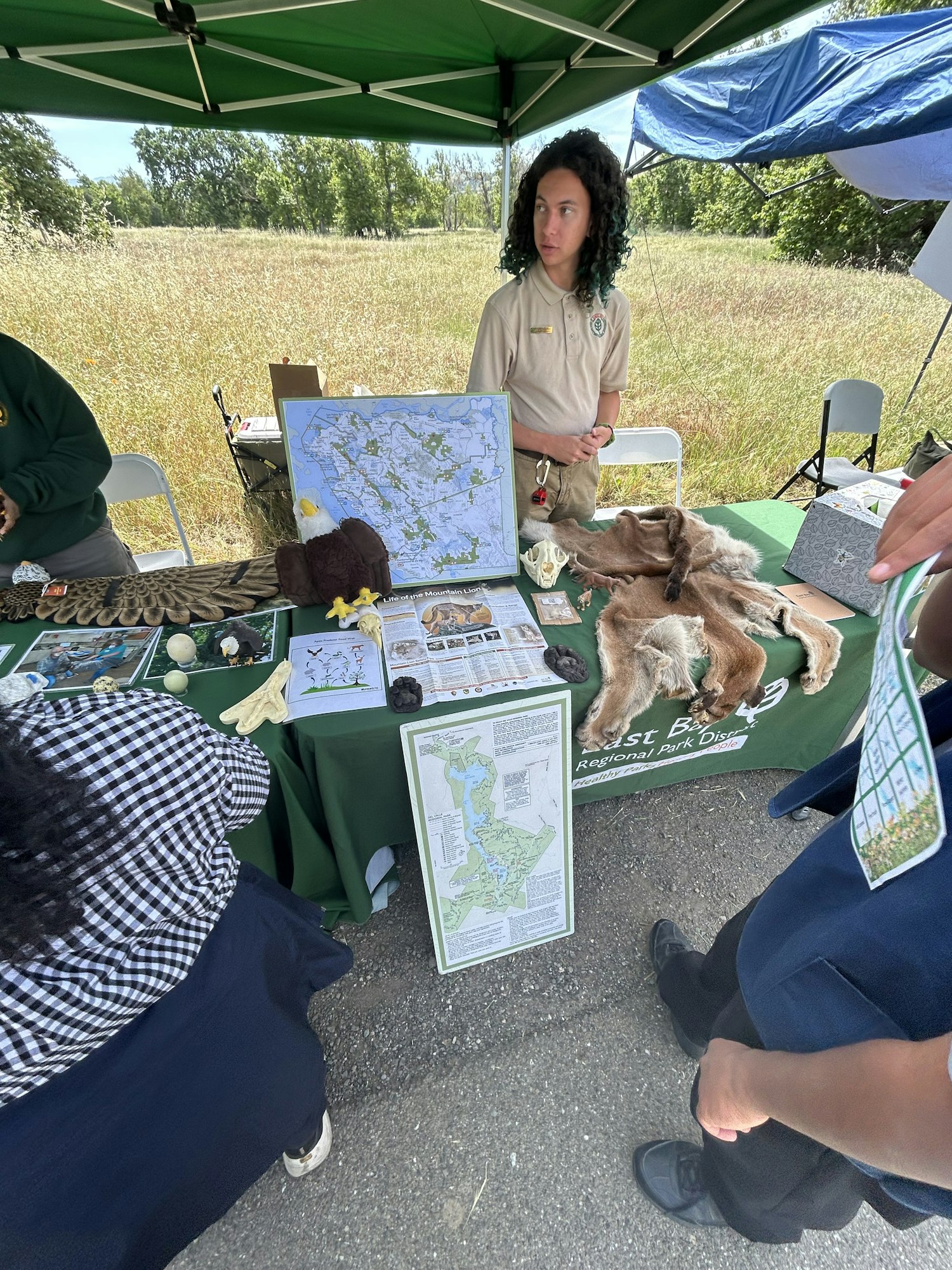 A person at a table displaying maps, animal artifacts, and educational materials, with a green canopy in a grassy area.