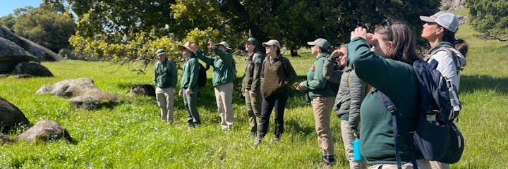 A group of people in green shirts and hats observes something in a grassy field, surrounded by rocks and trees.