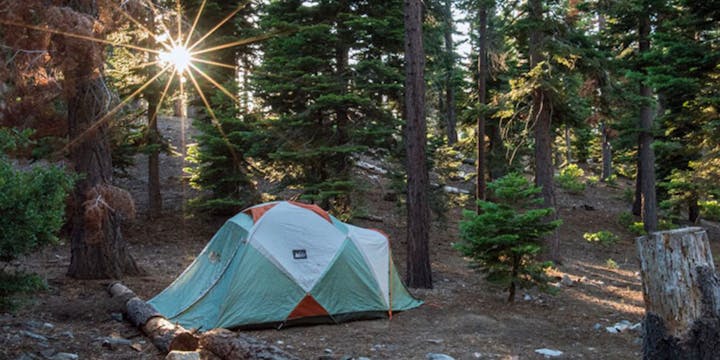 A tent in a forest clearing with sunlight filtering through the trees.