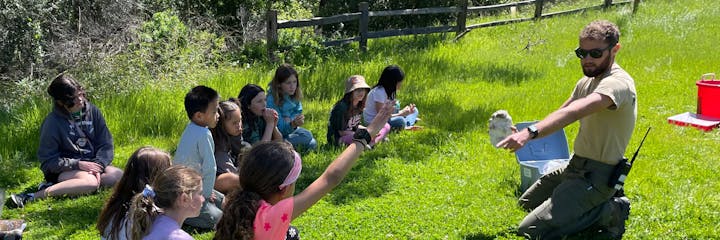 A man showing an owl to a group of attentive children outdoors.