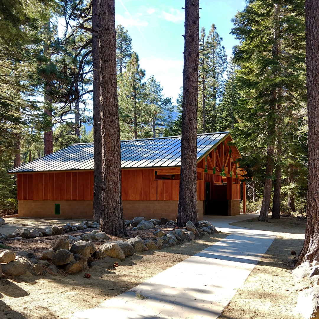 A wooden building among pine trees with a metal roof and concrete pathway.
