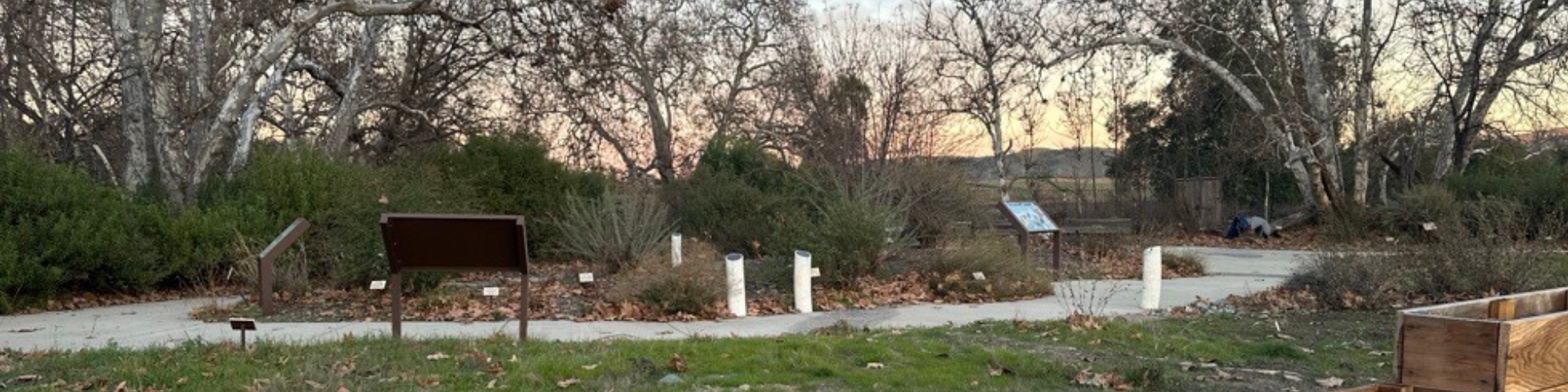 Pathway through a park with informational signs, surrounded by trees and shrubs.