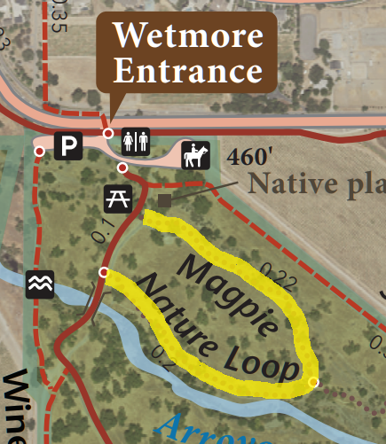A map showing the Wetmore Entrance to a park with parking, restrooms, picnicking icons, and the Magpie Nature Loop trail highlighted.