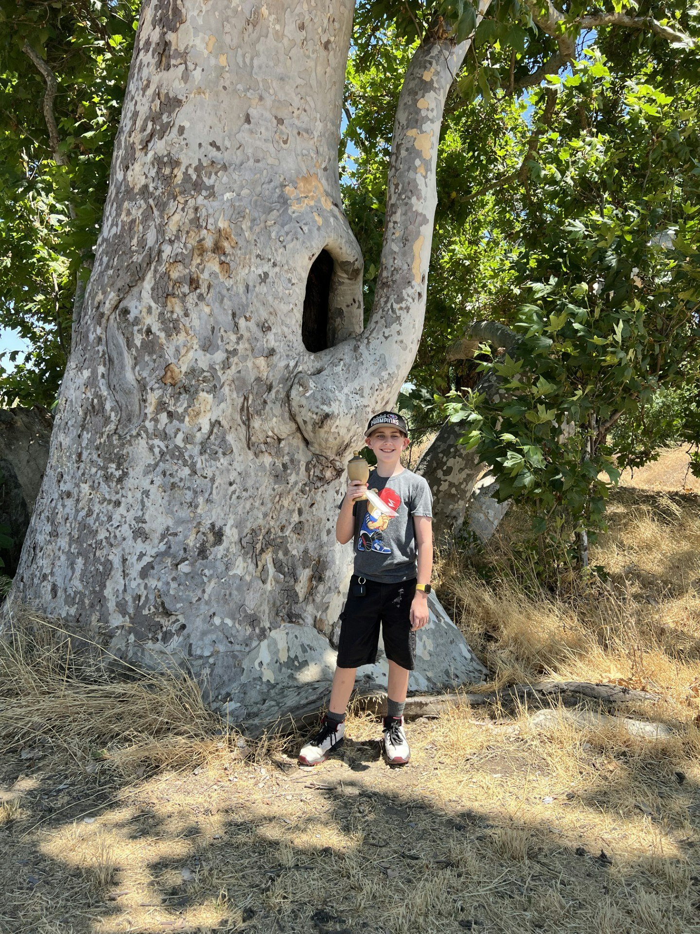 A child stands before a large tree with a distinct hollow, wearing casual clothes and a cap, holding a snack cup.