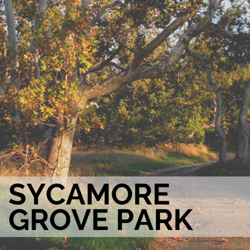 Sycamore Grove Park