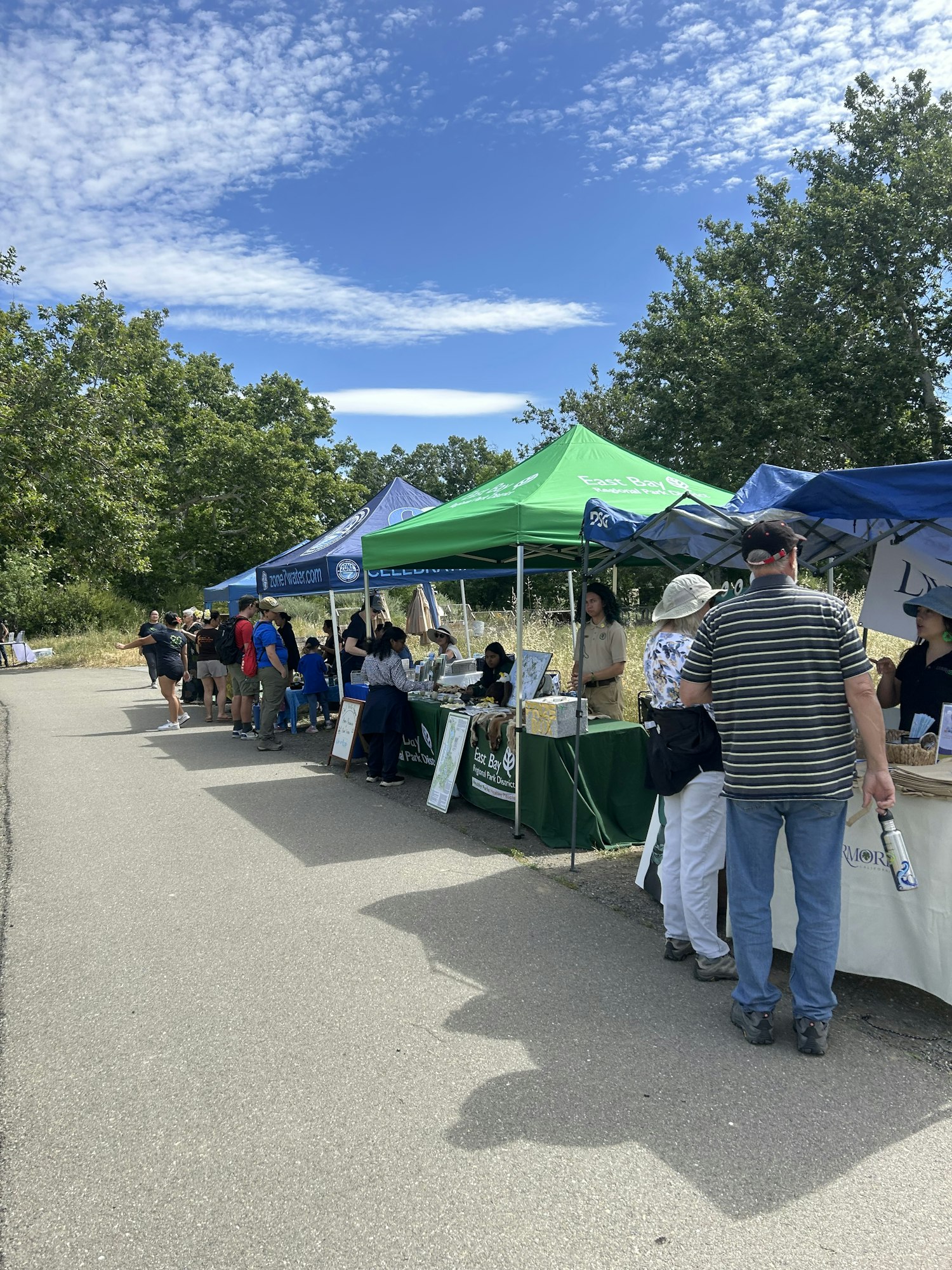 A bustling outdoor market scene with colorful tents, vendors, and visitors enjoying a sunny day.