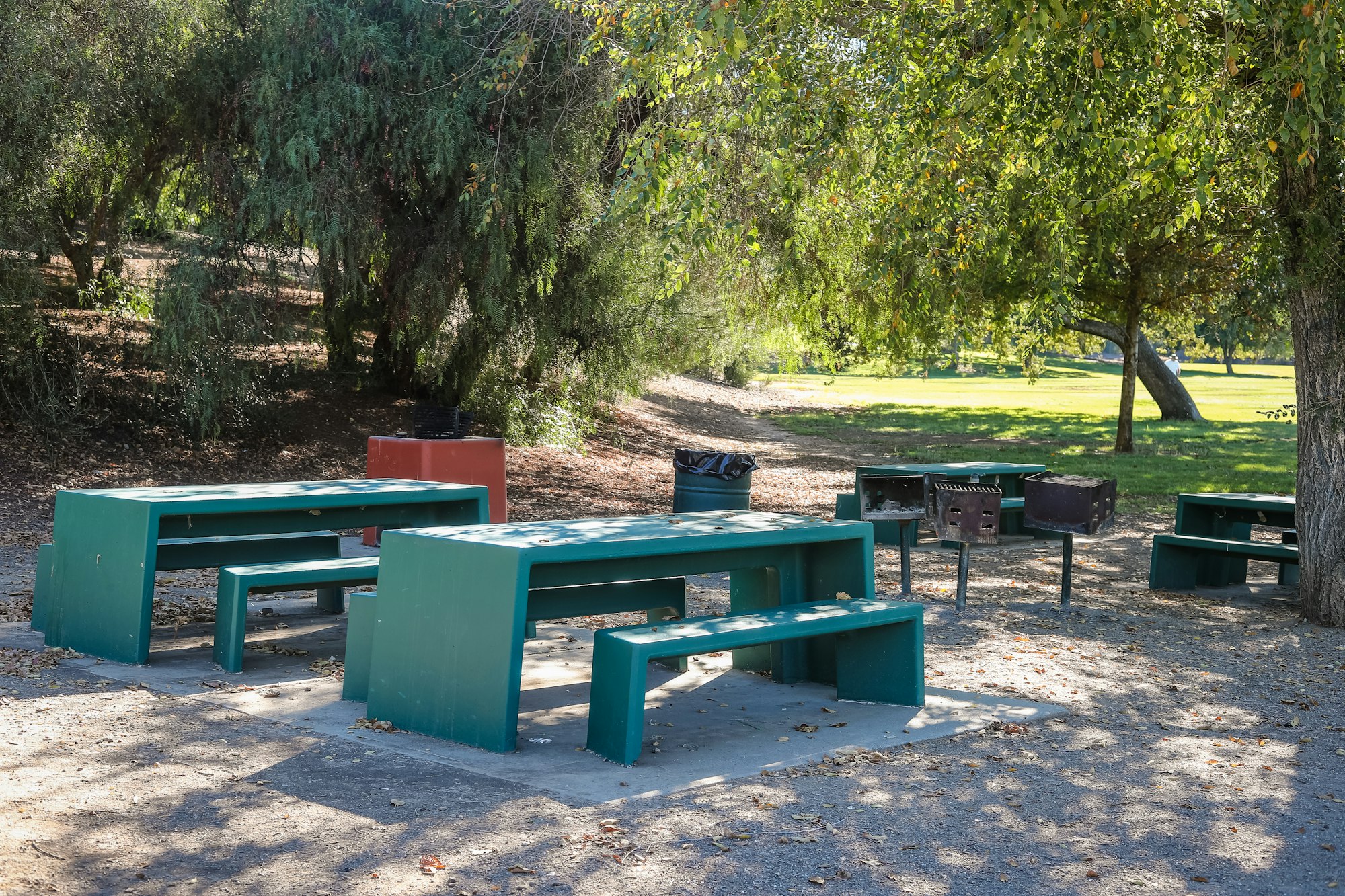 May contain: grass, plant, nature, outdoors, park, bench, furniture, desk, table, tree, and person