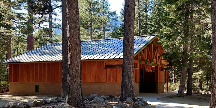 A wooden building with a metal roof surrounded by tall trees in a forest setting.