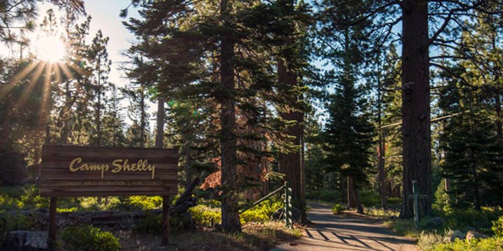 A wooded area with a "Camp Shelly" sign, sunlight streaming through tall trees along a path.