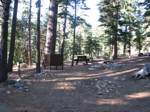 May contain: grove, woodland, vegetation, land, tree, outdoors, nature, plant, wilderness, park, grass, trail, path, and camping